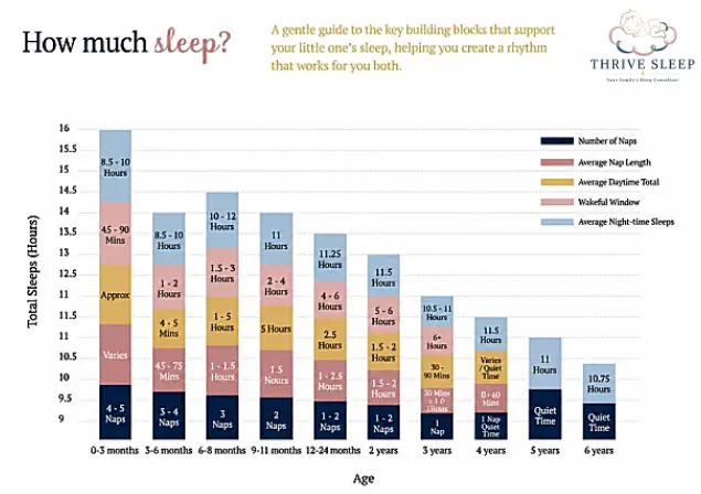 Thrive Sleep chart showing how much sleep children need by age